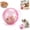 Pink-Mouse 1, variant on Pet Rolling Ball, 2026 New Rolling Ball Cat Toy, Rotate 360 Degrees Cute Magic Ball Toy, Interactive Toys for Cats, Dogs, Pets, Funny Gifts Pets Toys Balls for Pet Lovers