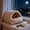 Couleur Beige, variante sur Boîte Chaude pour Chats d'Hiver, Boîte Chaude pour Mascottes, Nid pour dormir pour Mascottes, Calme Épais, Boîte pour dormir Douce pour Gadgets, Housse pour Chats, Calme pour perros et Chats