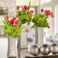 thumbnail image 6 of Dublin Silver Decorative Tray and Orbs Balls Set - Centerpiece Bowl with Balls for Dining room Table, Rustic Coffee Table Decor for Living Room Decor, Gift Boxed, 6 of 8