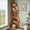 orange, variant on Tribesigns 5-Tier Corner Shelf, Modern Wavy Corner Bookshelf for Small Space, Living Room, Bedroom (Light Brown)