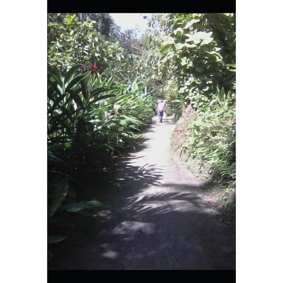 Man's Ordained way of life (Paperback)