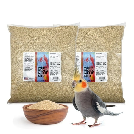 Morning Bird White Proso Millet Bird Seed Bag 18 lbs (2-Pack, 9 lbs Each) – Healthy & Nutritious Bird Food is ideal for Seed Eating Birds - Parakeets, Finches, Cockatiels