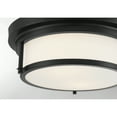 thumbnail image 7 of Trade Winds Lighting 2-Light Ceiling Light In Matte Black, 7 of 7