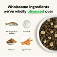 RawMix WildOcean Recipe for Cats, Includes Kibble, Bone Broth, and Freeze Dried Raw, Inspired