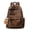 Golden Brown, variant on Fashion Cheetah Backpack Shoulder Bag, Trendy Design Daypack Bookbag Leopard Print Coquette Purse Women Men Daily