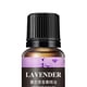 thumbnail image 2 of Aceite Esencial 10ml Aceites Difusores Aromaterapia para Humidificadores () Púrpura, 2 of 4