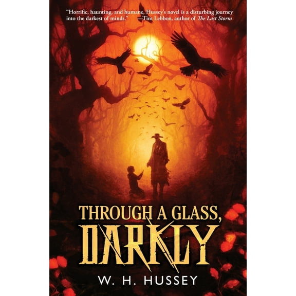 Through a Glass, Darkly (Paperback)