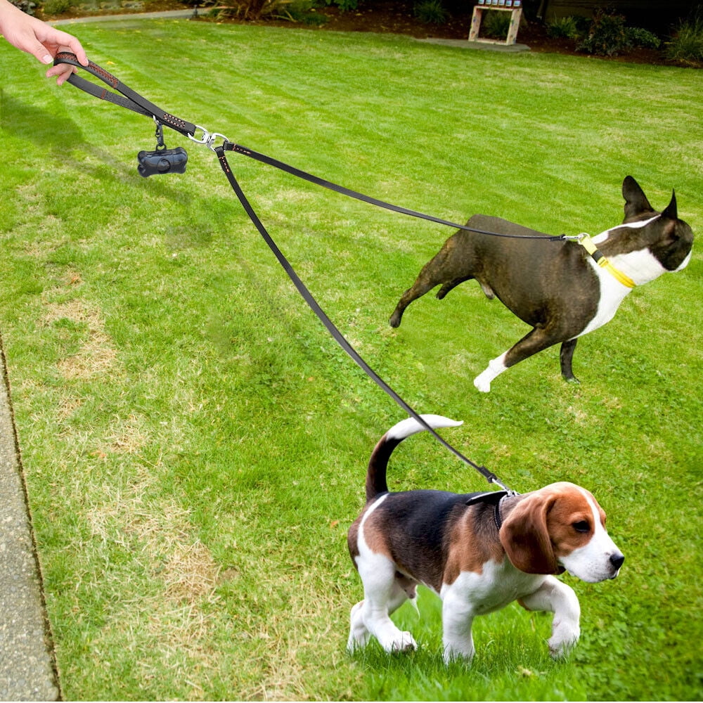 Didog 2 Way Real Leather Dog Double Leash Coupler Leashes for Two Twin Dogs Black Brown