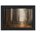 thumbnail image 1 of TrendyDecor4U MPP175-405 "Calme" par Martin Podt Imprimé Encadré d'Art Mural, 1 of 3