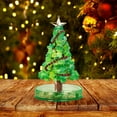 thumbnail image 4 of Growing Christmas Tree Funny Tree Christmas Tree Grow Christmas Tree Growing Christmas Tree Kit For Kids Holiday Decoration DIY Kit, 4 of 4