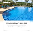 thumbnail image 4 of Pool Water Clarifier for Swimming Pool, Liquid Cleaning Solution, Fast-Acting Stain Remover for Turbidity, Daily Maintenance Chemical for Odor Control, 100ml, 4 of 9