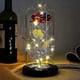 thumbnail image 1 of 2026 24k Gold Rose - Gold Plated Eternity Rose in Glass Cup with Gold Lamps, 1 of 5