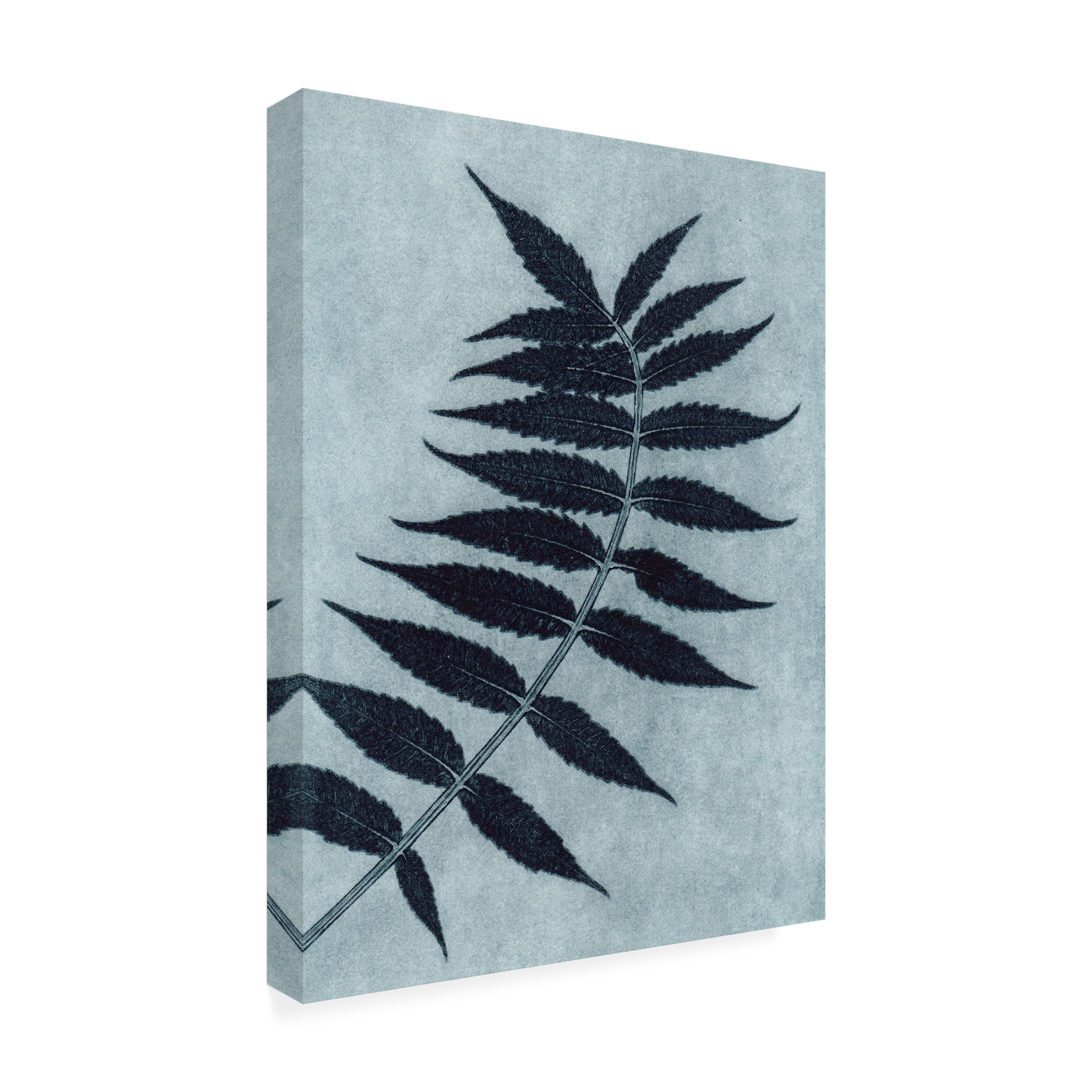Canvas Wall Art - Pernille Folcarelli 'Sumac Petrol' Wall Art for Living Room, Bedroom, or Office Décor by Trademark Fine Art - 35 x 47 Inches