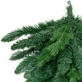 thumbnail image 7 of Northlight Coniferous Pine Christmas Teardrop Swag - 48" - Unlit, 7 of 7