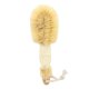 thumbnail image 5 of Seitruly Cepillo de sisal para colgar en la ducha, resistente al desgaste, cepillado en seco, herramienta para frotar, masaje de baño, exfoliante, Type2 NO2 Seitruly CE002833-00, 5 of 6