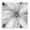 Serene White Blossom Closeup, variant on Stupell Industries Transitional Large White Flower Closeup Black Floating Frame Canvas Art, 18 x 18, by Carol Robinson