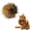 Ball/1pcs, variant on Cat Toy Faux Rabbit Fur Ball,2026 New Soft Rabbit Fur Catnip Balls,Fluffy Catnip Toy for Indoor Cats,Washable & Fun to Chase for Exercise and Bonding