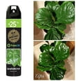 thumbnail image 2 of burton+BURTON Floralife Leafshine Scent Free Clear Spray for Plants and Flowers, 750ml, 2 of 5