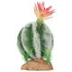 thumbnail image 5 of Plantas de cactus artificiales NikouMX Decoración de reptiles del desierto, 5 of 8