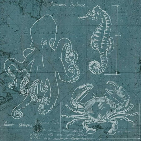 - Coastal Blueprint II Stretched Canvas - Marco Fabiano (24 x 24)