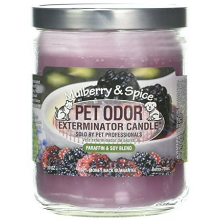 Pet Odor Exterminator Candle - Mulberry & Spice Jar (13