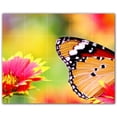 thumbnail image 1 of Picture-Tiles.com: Butterfly Ceramic Tile Wall Mural WAL500309-54M. 30"W x 24"H using (20) 6" x 6" Ceramic Tiles-Satin Finish, 1 of 3