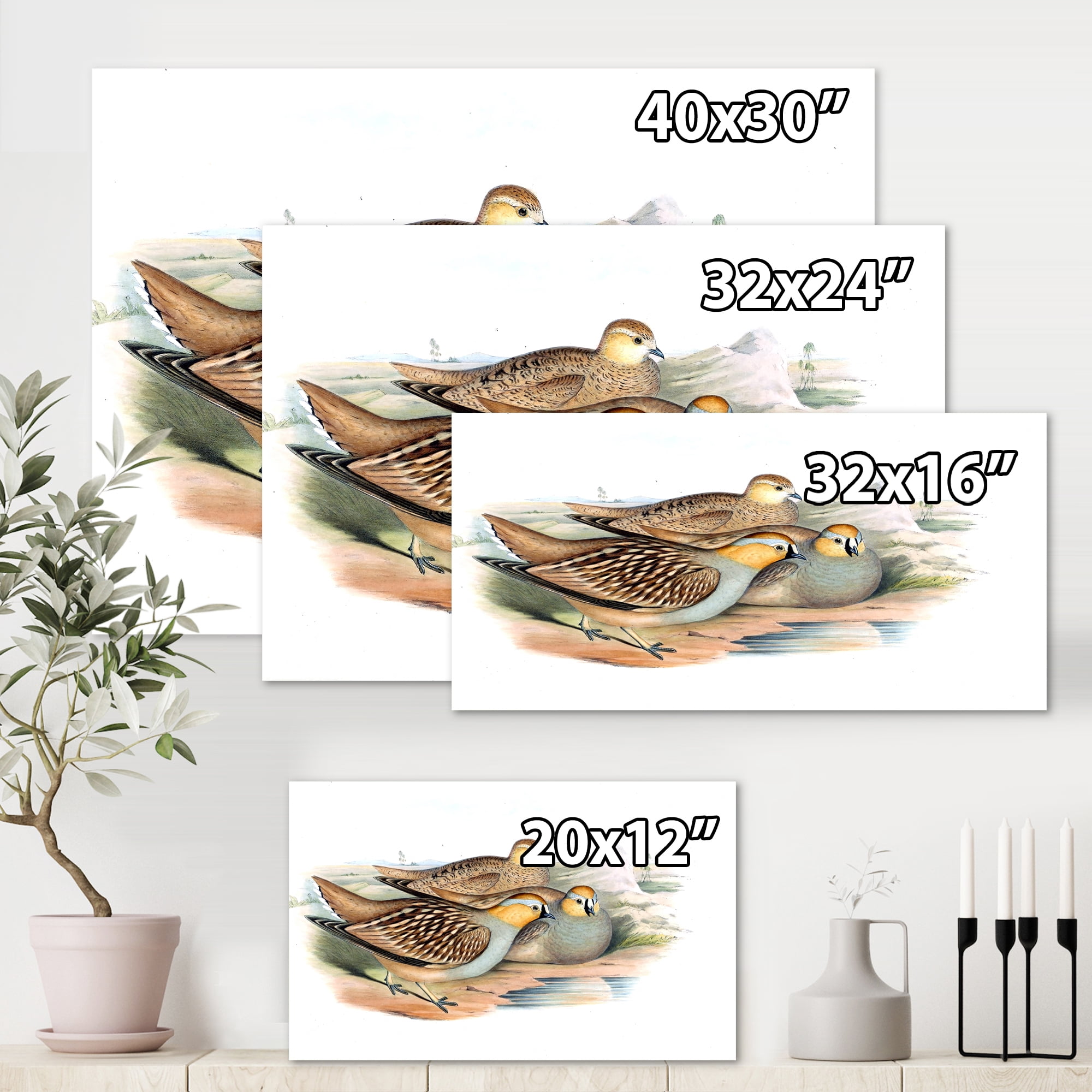 Designart ' Ancient Birds In The Wild III ' Traditional Canvas Wall Art Print