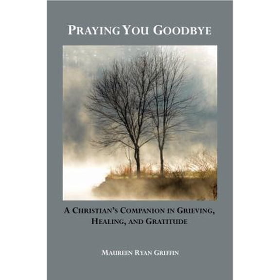 Pre-Owned Praying You Goodbye: A Christian's Companion in Grieving, Healing, and Gratitude (Paperback) 0980230438 9780980230437