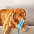thumbnail image 3 of BlueJuguete para la dentición del perro, ventosa, juguete para remolcar, a prueba de mordeduras, interactivo, saludable, limpieza de dientes para perros, cachorro, mascota, juguete, 3 of 4