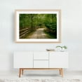 thumbnail image 5 of Trail at Hoyt Farm Nature Preserve, Commack 01 - Commack New York Photography Woodland Forest Nature Rustic Scenic Wilderness Countryside Oak Framed Wall Art Print 24 x 36 inches, 5 of 6