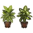 thumbnail image 2 of Nearly Natural 20.5" Dieffenbachia with Wood Vase Artificial Plant, Set of 2, Variegated, 2 of 6