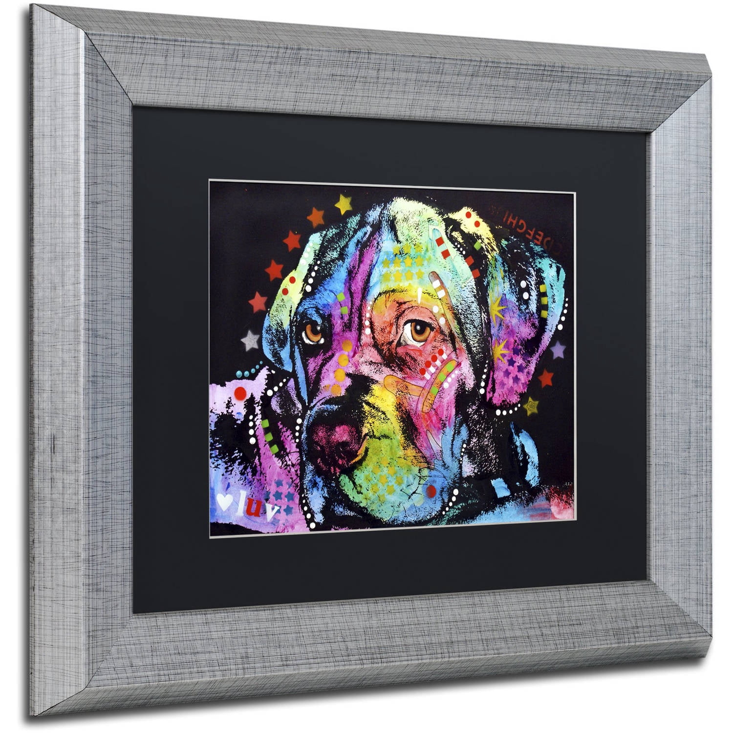 Trademark Fine Art "Young Mastiff" Canvas Art by Dean Russo, Black Matte, Silver Frame
