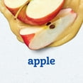 thumbnail image 3 of Gerber 1st Foods Natural for Baby Baby Food, Apple, 4 oz Jar, 3 of 15