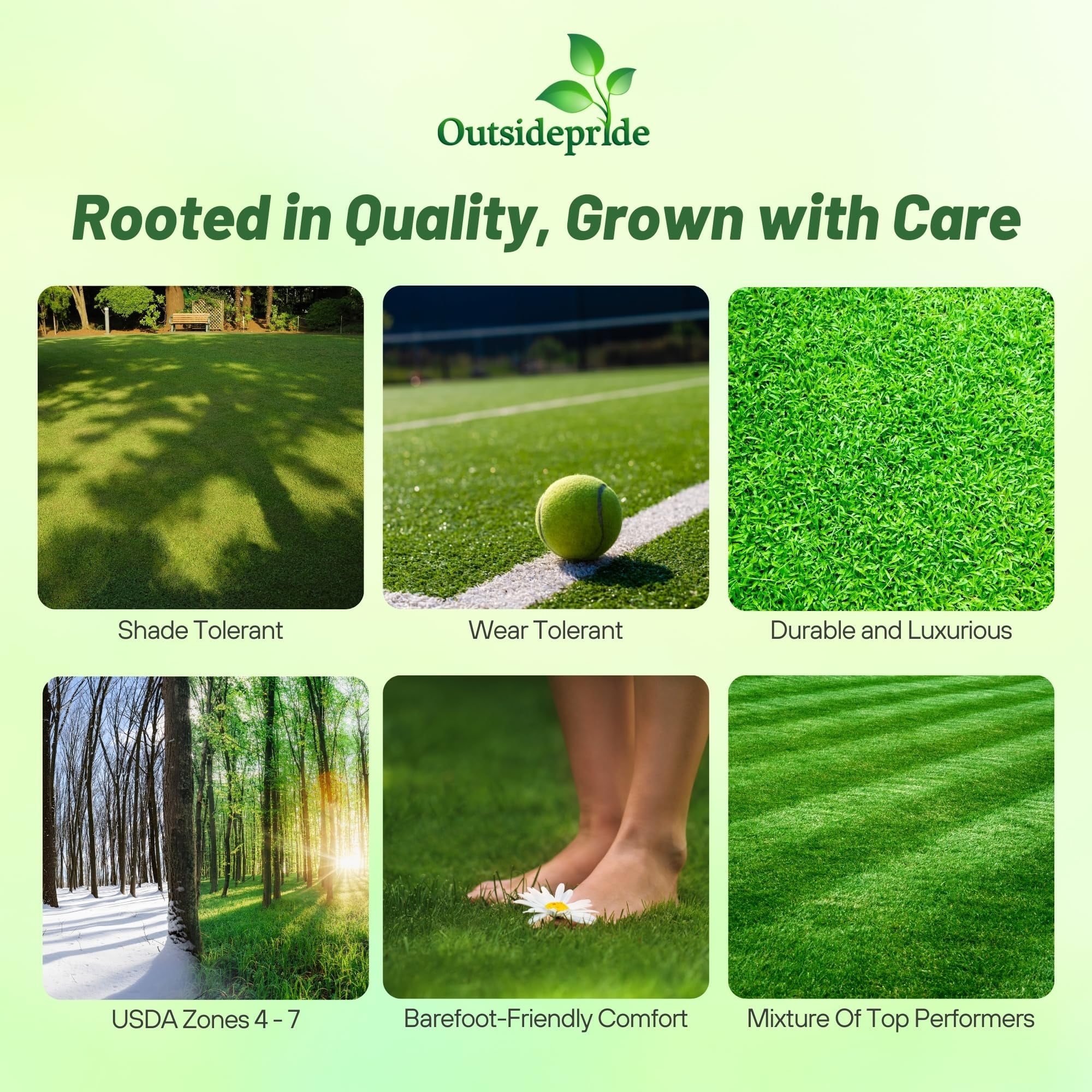 Outsidepride Showtime Perennial Rye, Bluegrass & Fine Fescue Grass Seeds, 5 lb - Shade & Wear Tolerant