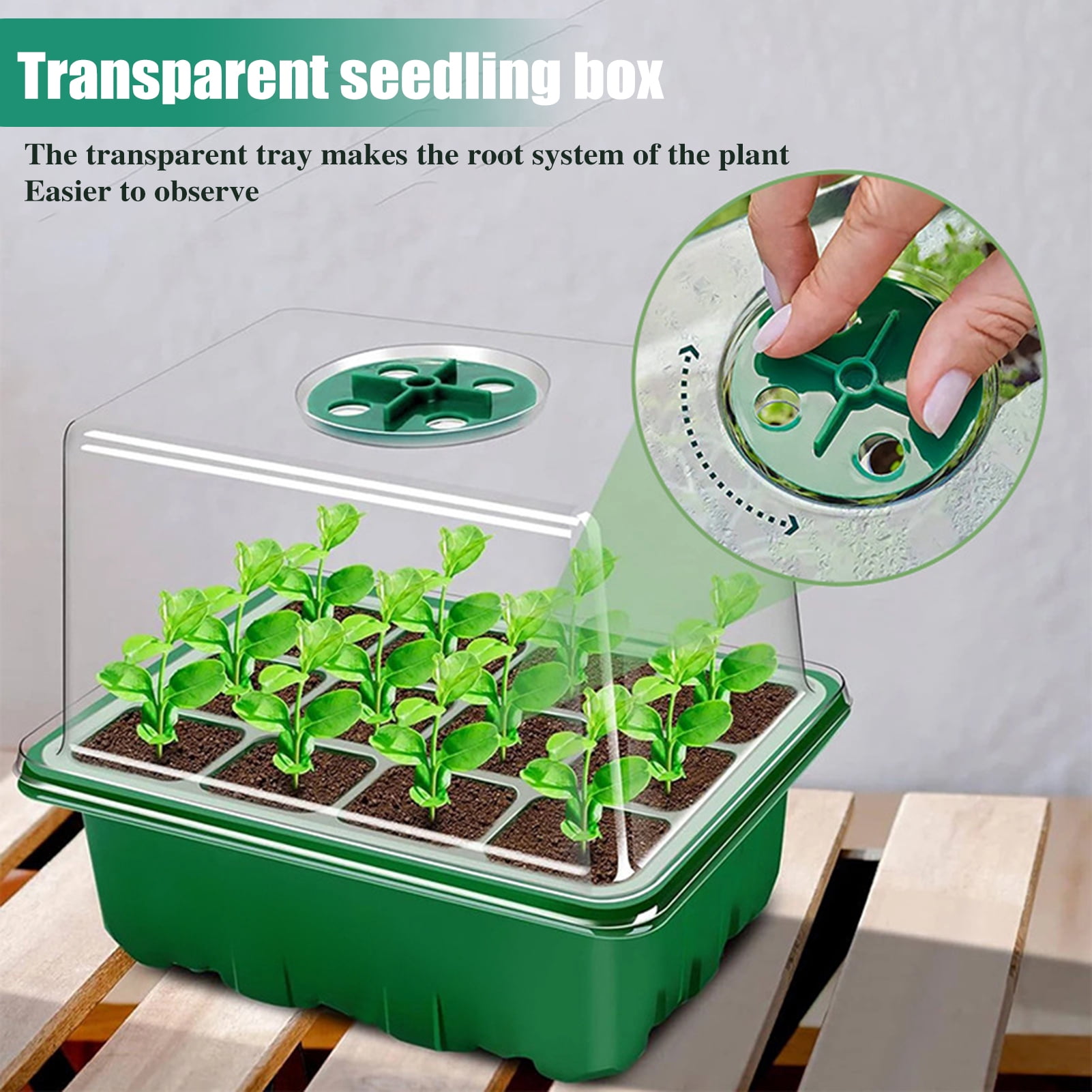 OIUR Seeds Starter Tray 6 Cells/12 Cells Seeds Germination Tray with Adjustable Humidity Vent Plant Nursery Box for Indoor Garden Bonsai Seedlings Starting Growing