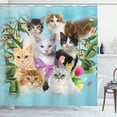 thumbnail image 1 of Ambesonne Cat Lover Shower Curtain, Cats Feline Domestic, 69"Wx70"L, Multicolor, 1 of 3