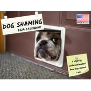 Dog Shaming 2024 Wall Calendar