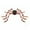 C, variant on Giant Halloween Spider Outdoor Decorations Light Up Scary Giant Spider Props for Haunted House Yard Lawn Front Door Porch Halloween Party Supplies Decor,D