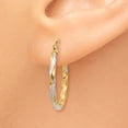 thumbnail image 3 of 14K & Rhodium Hollow Twisted Hoop Earrings 14k Yellow Gold Earrings, 3 of 4