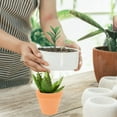 thumbnail image 6 of PAMINGONO Set of 12 Mini Terracotta Pots with Drainage Holes, Orange Clay Garden for Indoor and Outdoor Use, 6 of 6
