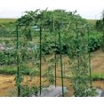 thumbnail image 4 of Green Garden Plant Netting, Garden Climbing Net, Heavy Duty Plant Trellis Netting for Climbing Plants Nylon Garden Netting for Plants,Vegetable,Cucumber Trellis, 4 of 8
