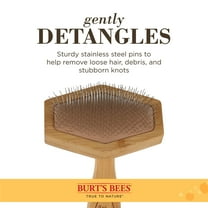 Burt's Bees For Pets Cat Slicker Brush Ideal for Daily Grooming