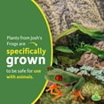 thumbnail image 4 of Josh's Frogs 29 Gallon Tropical Vivarium Plant Kit, 4 of 6