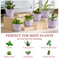 thumbnail image 4 of FIASON 6 Pack 12 Inch Lavender Purple Plastic Planters with Drainage Holes and Saucers, Embossed Flower Plant Pots Large Outdoor Planters for Patio Garden, 4 of 8