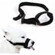 thumbnail image 1 of Bozal de nailon ajustable para perros, 18-24 cm, para perros pequeños y medianos - Seguridad antiladridos, 1 of 5