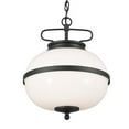thumbnail image 5 of 52478BKT Kichler Lighting Opal - 2 Light Pendant In Homestead Style-15.25 Inches Tall and 12.25 Inches Wide-Textured Black Finish    -Traditional, 5 of 9