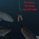 thumbnail image 5 of Cebo de Pesca Gusanos de Arena Secos 1 Bolsa Greeniant, 5 of 6