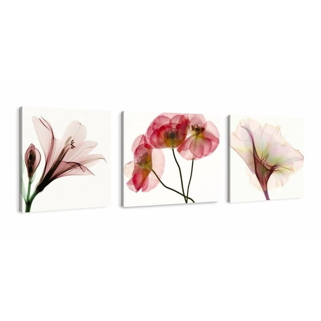 Set Cuadros Flores Minimalista Moderno Naturaleza En Canvas Algodón No Sintetico Con Bastidor Madera