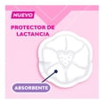 thumbnail image 3 of Protectores de lactancia Saba maternidad 12 pzas, 3 of 7