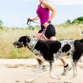 thumbnail image 3 of CBFFDC Dog Accessories Reflective Adjustable Collar with Metal D ring Buckle Striped Pattern Prevent Break Away Traction Tool for Dogs, 3 of 7